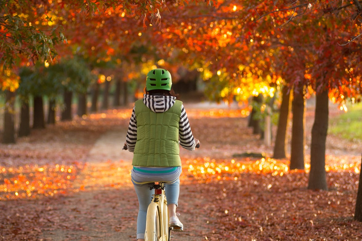 M2M_Beechworth_Autumn