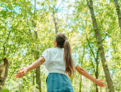 No Funeral Service Cremation: A Simplified and Private Farewell